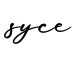 单词syce书写