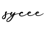 单词sycee书写