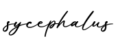 单词sycephalus书写