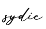 单词sydic书写