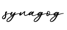 单词synagog书写