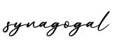单词synagogal书写