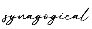 单词synagogical书写
