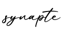 单词synapte书写