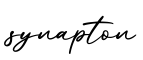 单词synapton书写
