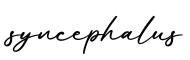 单词syncephalus书写