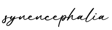 单词synencephalia书写