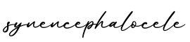 单词synencephalocele书写