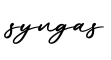 单词syngas书写