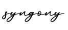 单词syngony书写