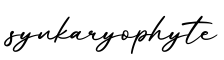 单词synkaryophyte书写