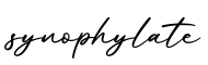 单词synophylate书写