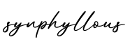单词synphyllous书写