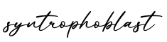 单词syntrophoblast书写