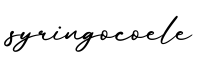 单词syringocoele书写