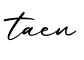 单词taen书写