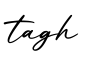 单词tagh书写