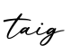 单词taig书写