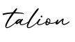 单词talion书写