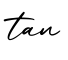 单词tan书写