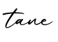 单词tane书写