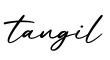 单词tangil书写