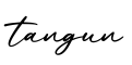 单词tangun书写