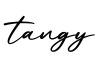 单词tangy书写