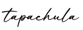 单词tapachula书写