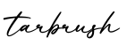 单词tarbrush书写