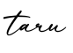 单词taru书写