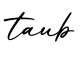 单词taub书写