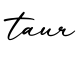 单词taur书写