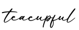单词teacupful书写