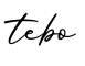 单词tebo书写