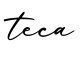 单词teca书写