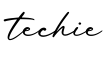 单词techie书写