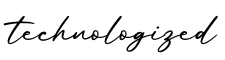 单词technologized书写