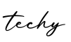 单词techy书写