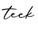 单词teck书写