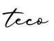 单词teco书写