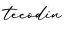单词tecodin书写