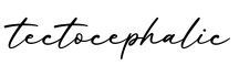 单词tectocephalic书写