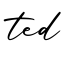 单词ted书写