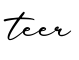 单词teer书写