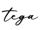 单词tega书写