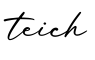 单词teich书写