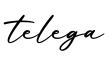 单词telega书写