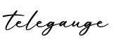 单词telegauge书写