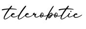 单词telerobotic书写